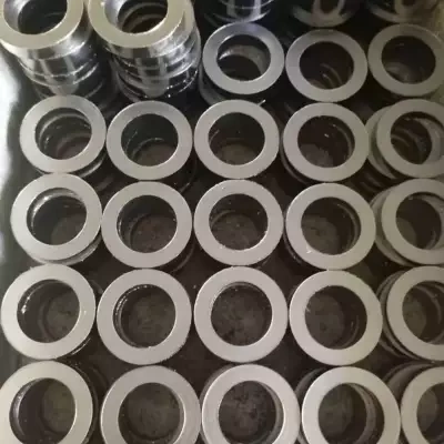进口闸阀的填料(Packing)